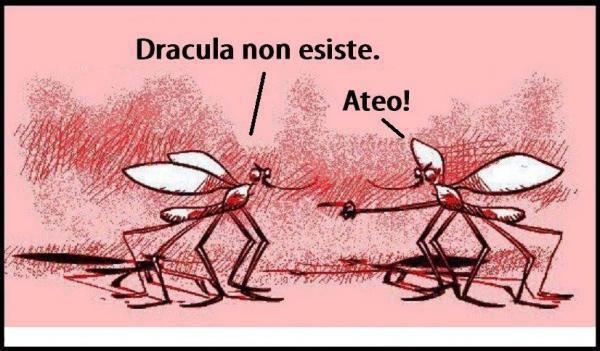 Immagine Divertente - 14/05/2013