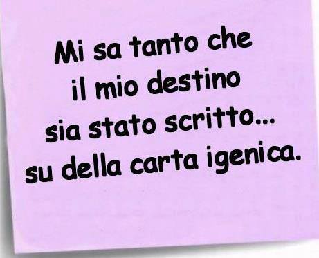 Immagine Divertente - 15/05/2013