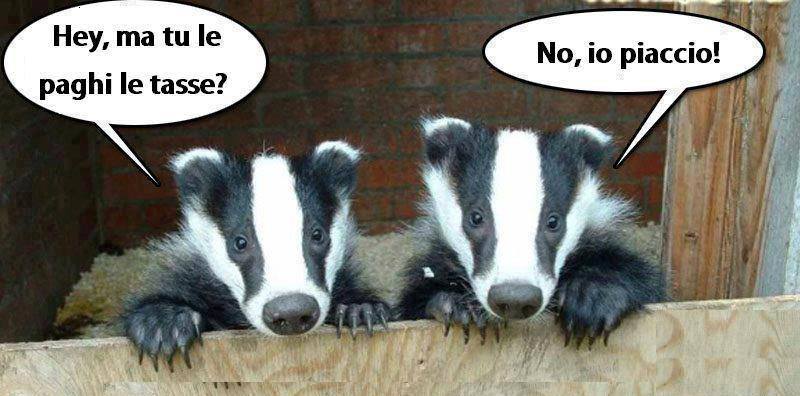 Vignetta Divertente - 02/06/2013