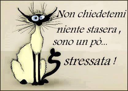 Immagine Divertente - 05/06/2013