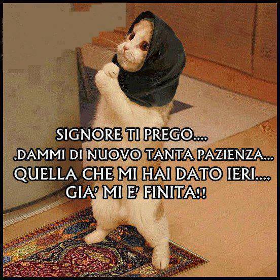 Immagine Divertente - 28/06/2013