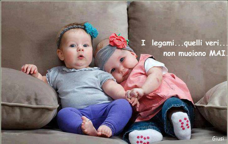 Immagine Divertente - 02/07/2013