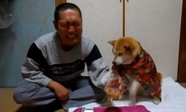 IL CANE CHE IMPEDISCE AL SUO PADRONE DI BERE. IL VIDEO FA IL GIRO DEL WEB - 05/01/2014