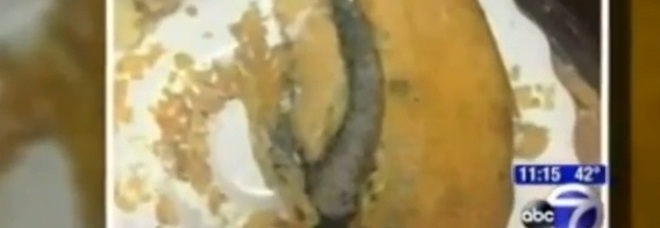 CODA DI TOPO NELLA TORTA DI MELE DEL 96ESIMO COMPLEANNO. LE SCUSE: ''NON ERA MAI ACCADUTO'' - 25/02/2014