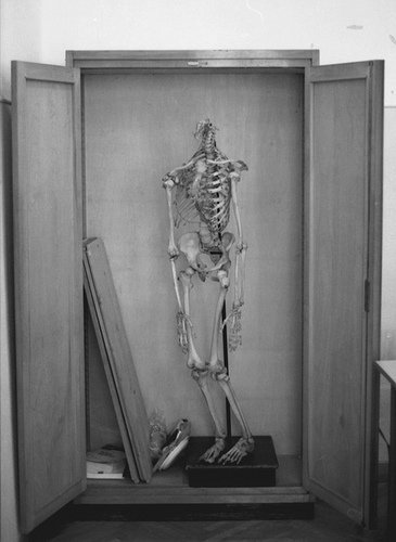 SOGNI NEL CASSETTO, SCHELETRI NELL'ARMADIO... ME DICI ANDO' SE DEVONO METTE I VESTITI ?! - 17/03/2012