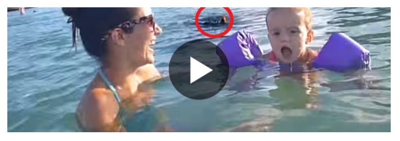 MADRE E FIGLI NUOTANO NEL MARE, CIO' CHE AVVIENE DIETRO DI LORO E' STATO VISTO 15 MILIONI DI VOLTE - 23/06/2016