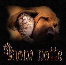 'NA CERTA STANCHEZZA STO ACCUSA'... SALUTO L'AMICI E ME VADO A SDRAIA' !! - 25/03/2012
