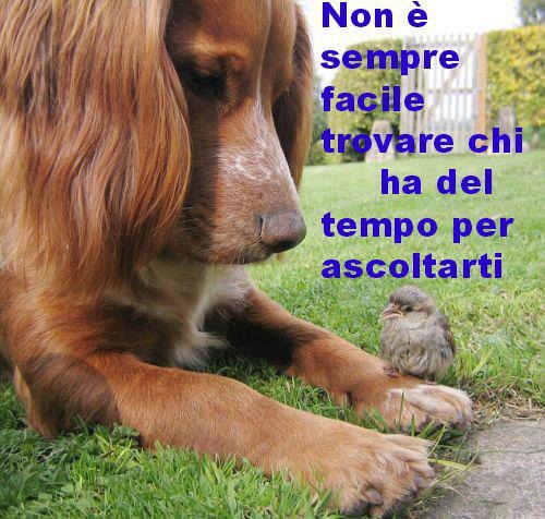 Immagine Divertente - 09/02/2013