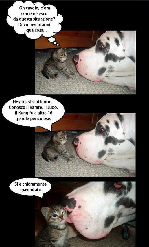 QUANNO MENO TE LO ASPETTI !! - 05/07/2012