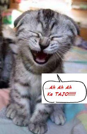 AH AH AH... CHE TAJO !! - 11/03/2012