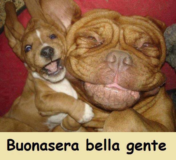 Immagine Divertente - 20/02/2013