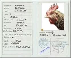 CARTA D'IDENTITA': - 29/03/2012