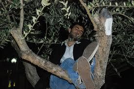 'N PASSANTE VEDE UN UOMO SU UN ALBERO E JE GRIDA: - 01/04/2012