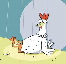 UN CONTADINO STA AMMIRA' ER PROPRIO ALLEVAMENTO DE' GALLINE ALL'ARIA APERTA !! - 01/04/2012