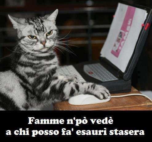 Immagine Divertente - 02/03/2013