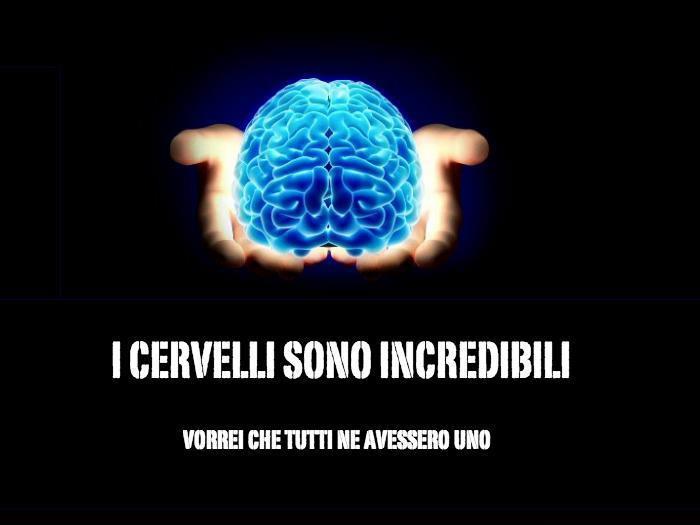 Immagine Divertente - 10/02/2013
