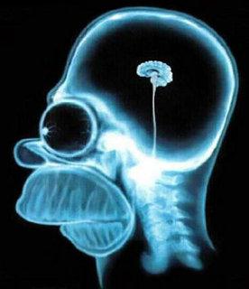 ME PIACEREBBE SFIDATTE A 'NA GARA D'INTELLIGENZA... - 27/03/2012