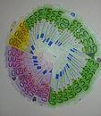 'O SAPETE QUAL'E' A DIFFERENZA TRA I SOLDI SPESI DALLA MOJE E QUELLI SPESI DAR MARITO ?? - 27/03/2012