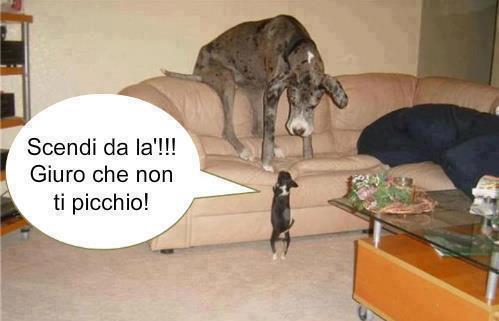 Vignetta Divertente - 09/02/2013
