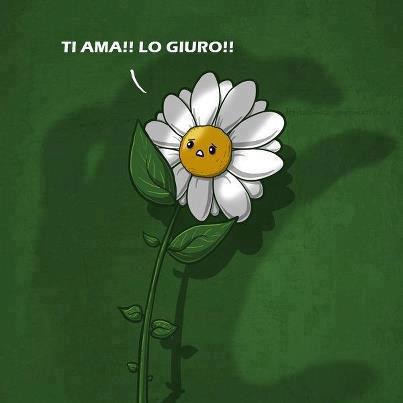 Immagine Divertente - 12/02/2013