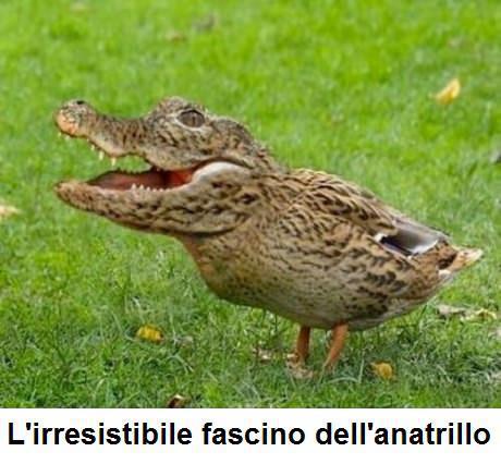 Immagine Divertente - 14/05/2013