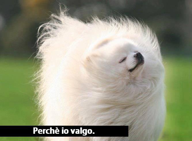 Immagine Divertente - 19/05/2013