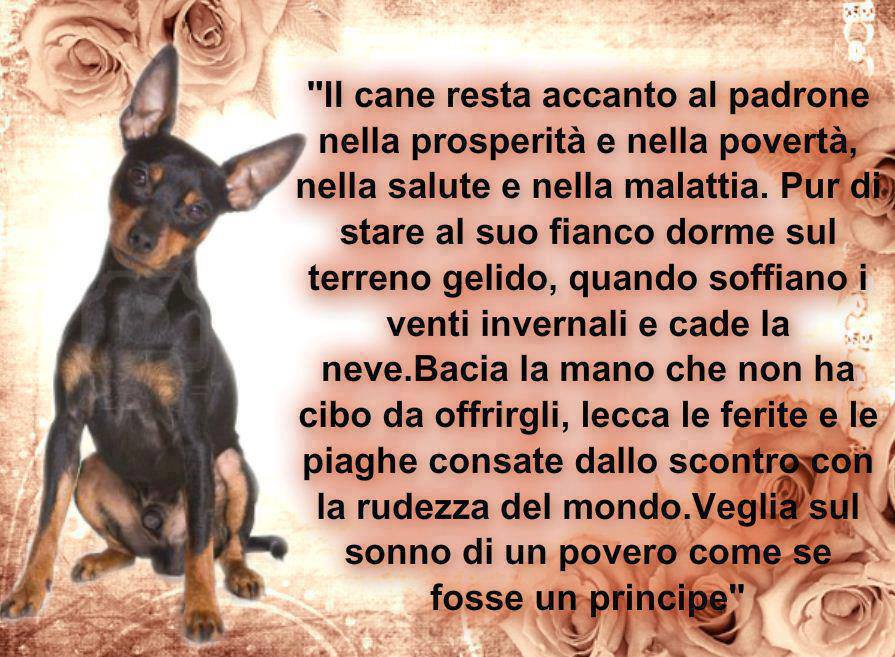 Immagine Divertente - 30/05/2013