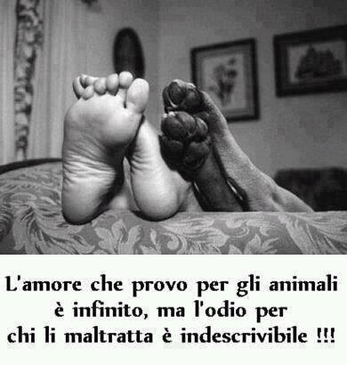 Immagine Divertente - 06/07/2013