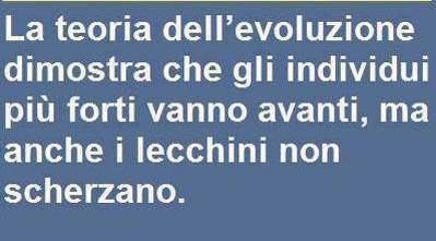 Immagine Divertente - 08/07/2013