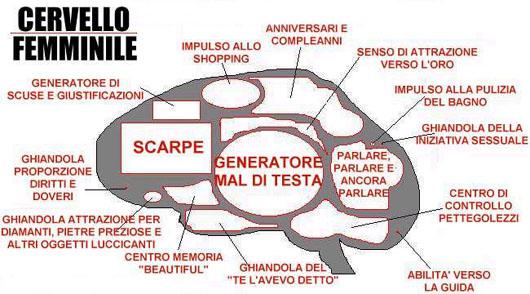 ER CERVELLO DE 'A DONNA !! - 26/03/2012
