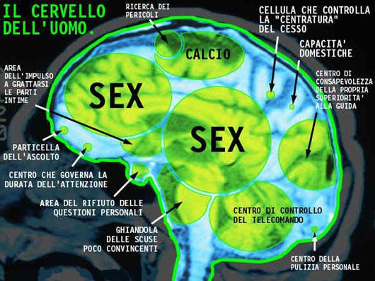ER CERVELLO DELL' OMO !! - 26/03/2012