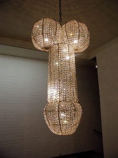 Immagine Divertente - 07/05/2012