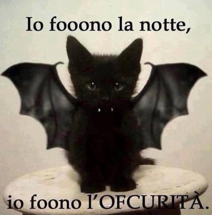 Immagine Divertente - 03/06/2013