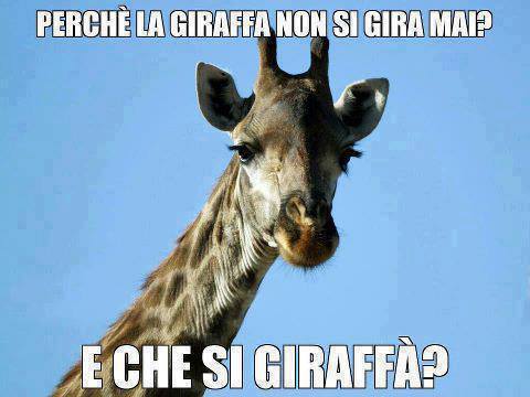 Immagine Divertente - 27/06/2013