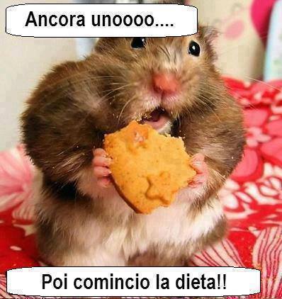 Vignetta Divertente - 29/06/2013