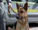 CAN CHE ABBAJA ?? ... T'HA SGAMATO !! - 20/03/2012