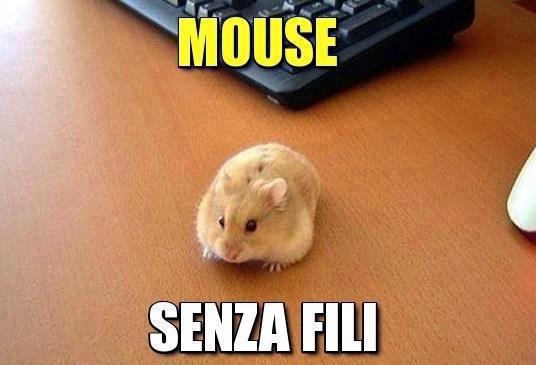 Immagine Divertente - 09/05/2013