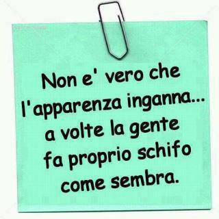 Immagine Divertente - 18/05/2013