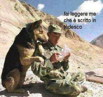 Immagine Divertente - 28/05/2013