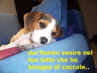 ME FAI SPAZIO ?! - 18/11/2012