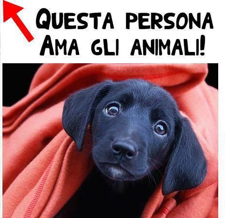 'STA PERSONA AMA GLI ANIMALI !! - 21/11/2012