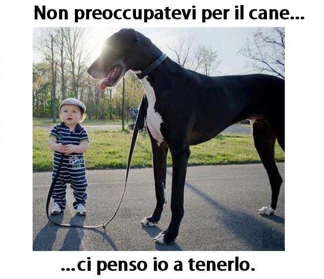 Immagine Divertente - 08/12/2012
