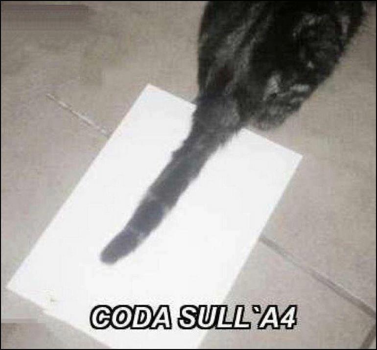 NUN CE FA 'NA PIEGA !! - 11/10/2012