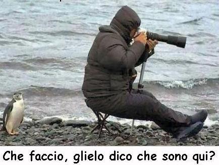 CHE DEVO FA ?? - 12/10/2012