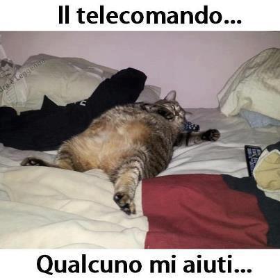 AIUTATEME !! - 18/11/2012