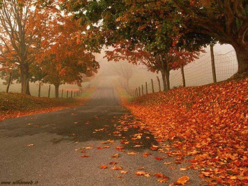VOI REGALA' UN MAGNIFICO E FRIZZANTE AUTUNNO AI TUOI AMICI ?? - 24/03/2012