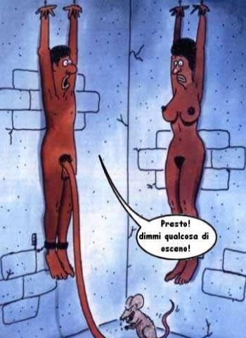 Vignetta Divertente - 31/03/2012