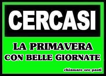 A.A.A. CERCASE !! - 20/04/2012