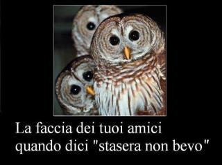 Immagine Divertente - 28/04/2012