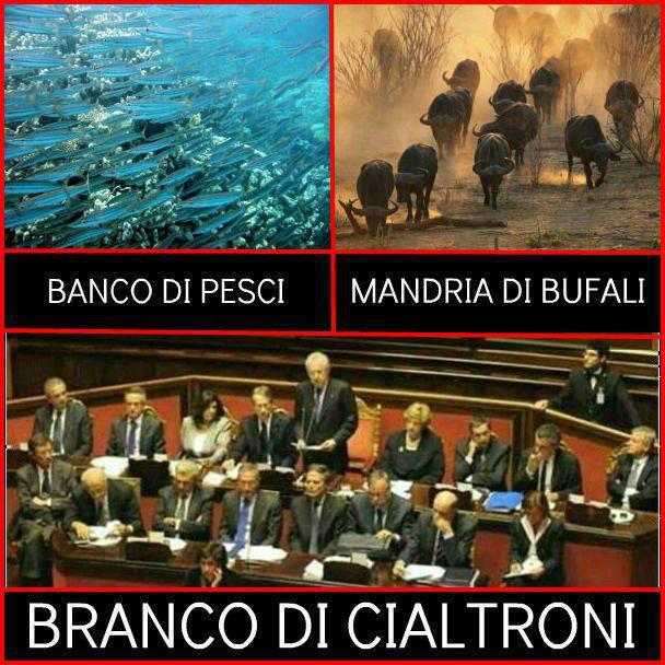 MA IN MANO A CHI STAMO ?! - 20/09/2012